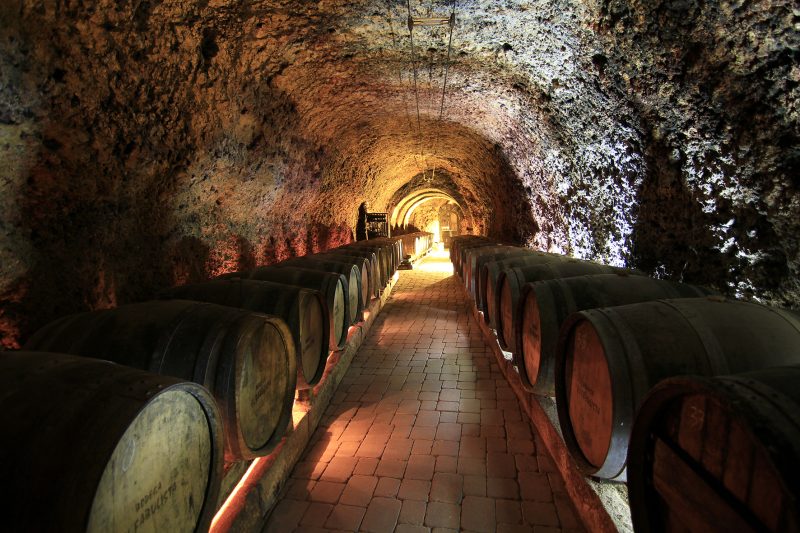 El V Centenario del ‘Camino Ignaciano’ peregrina por Rioja Alavesa